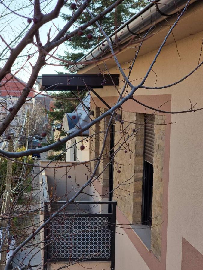 As Apartman 2 Vrsac Eksteriør billede